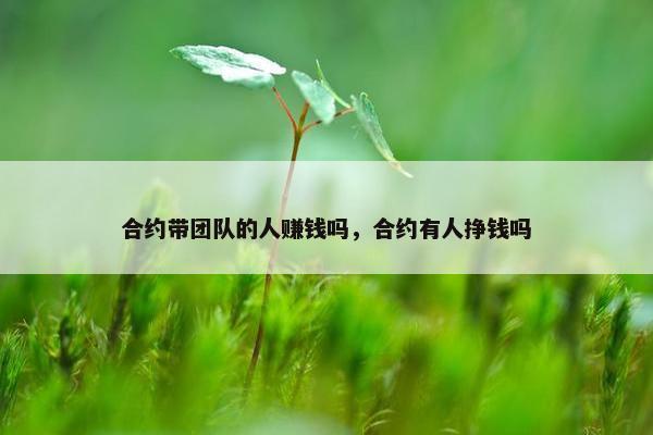 合约带团队的人赚钱吗，合约有人挣钱吗