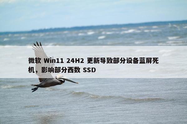 微软 Win11 24H2 更新导致部分设备蓝屏死机，影响部分西数 SSD