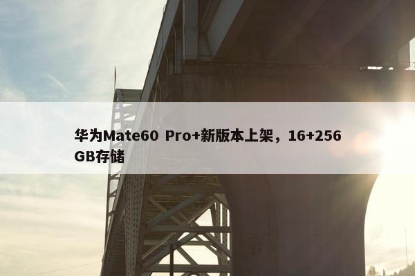 华为Mate60 Pro+新版本上架，16+256GB存储