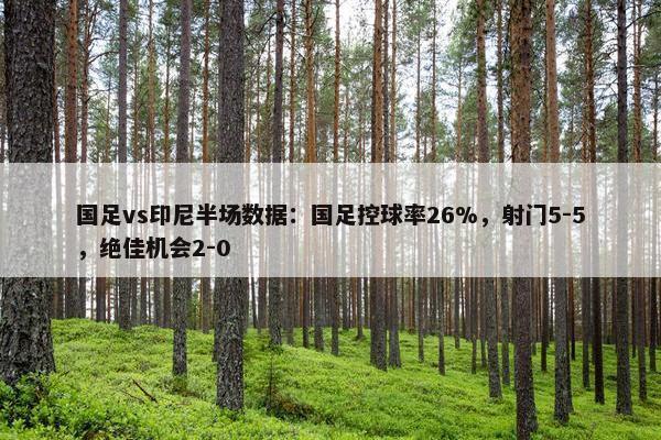 国足vs印尼半场数据：国足控球率26%，射门5-5，绝佳机会2-0