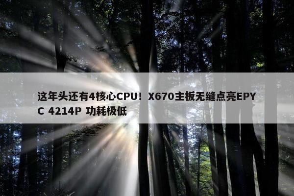 这年头还有4核心CPU！X670主板无缝点亮EPYC 4214P 功耗极低