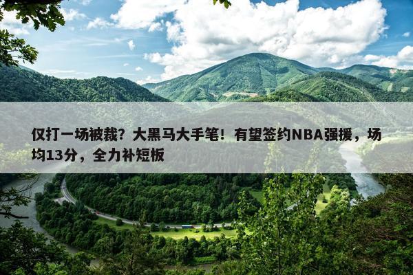 仅打一场被裁？大黑马大手笔！有望签约NBA强援，场均13分，全力补短板