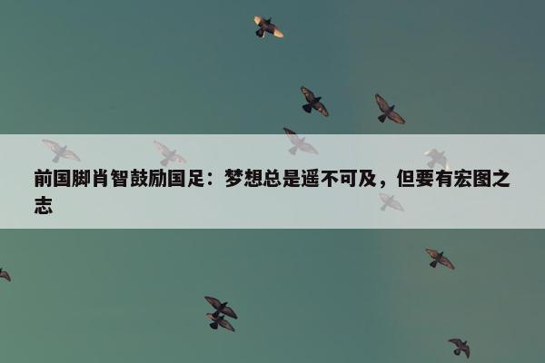 前国脚肖智鼓励国足：梦想总是遥不可及，但要有宏图之志