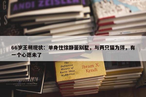 66岁王朔现状：单身住徐静蕾别墅，与两只猫为伴，有一个心愿未了