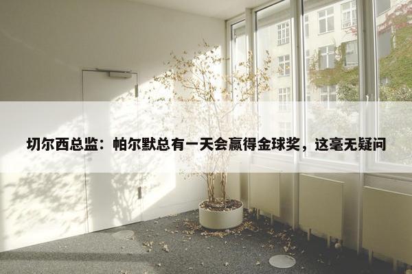 切尔西总监：帕尔默总有一天会赢得金球奖，这毫无疑问