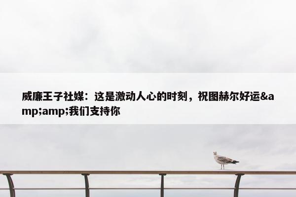 威廉王子社媒：这是激动人心的时刻，祝图赫尔好运&amp;我们支持你