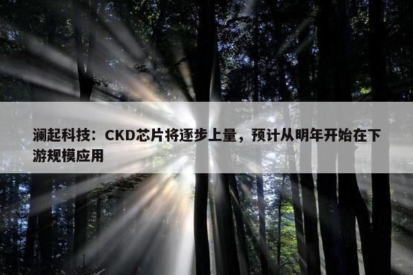 澜起科技：CKD芯片将逐步上量，预计从明年开始在下游规模应用