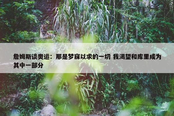 詹姆斯谈奥运：那是梦寐以求的一切 我渴望和库里成为其中一部分