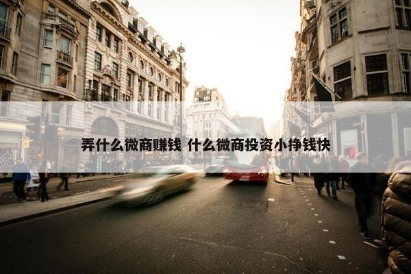 弄什么微商赚钱 什么微商投资小挣钱快