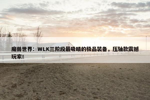 魔兽世界：WLK三阶段最吸睛的极品装备，压轴款震撼玩家！