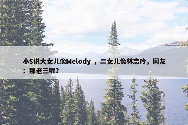 小S说大女儿像Melody ，二女儿像林志玲，网友：那老三呢？