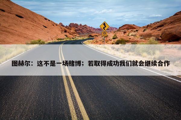 图赫尔：这不是一场赌博；若取得成功我们就会继续合作