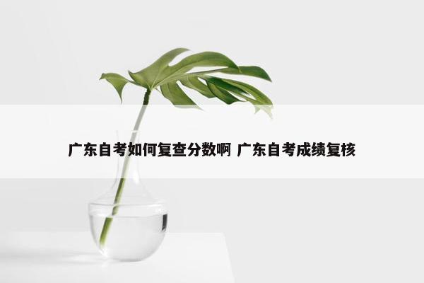 广东自考如何复查分数啊 广东自考成绩复核