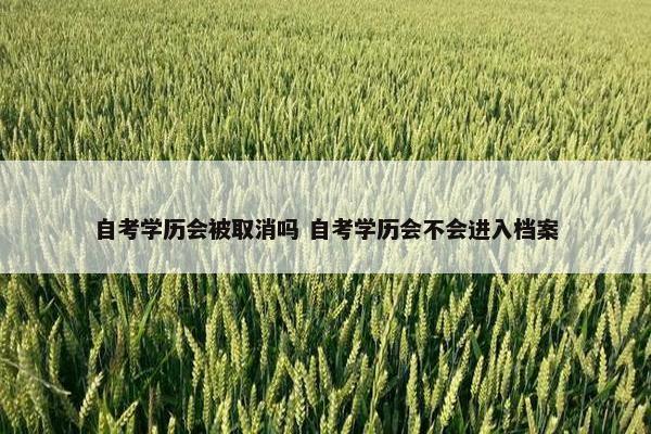 自考学历会被取消吗 自考学历会不会进入档案