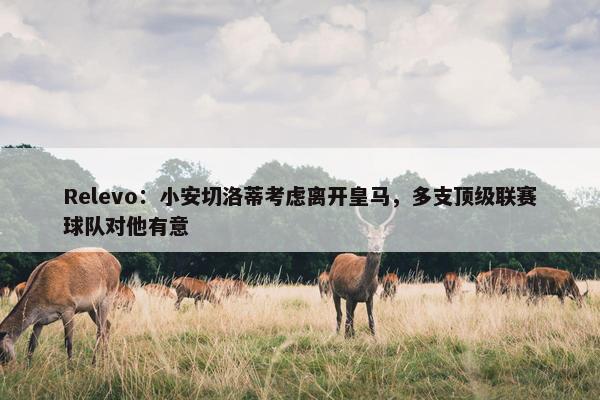 Relevo：小安切洛蒂考虑离开皇马，多支顶级联赛球队对他有意