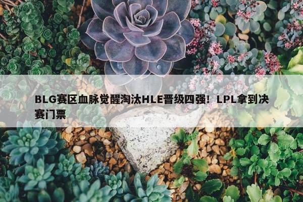 BLG赛区血脉觉醒淘汰HLE晋级四强！LPL拿到决赛门票