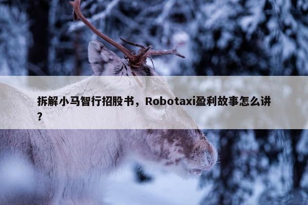 拆解小马智行招股书，Robotaxi盈利故事怎么讲？