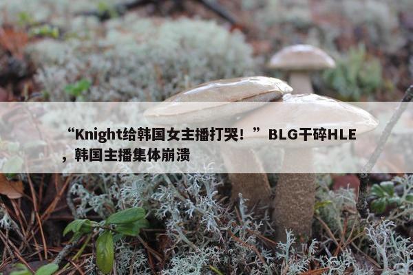 “Knight给韩国女主播打哭！”BLG干碎HLE，韩国主播集体崩溃