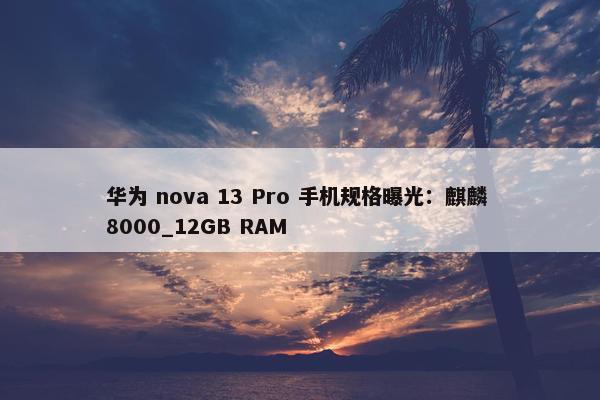 华为 nova 13 Pro 手机规格曝光：麒麟 8000_12GB RAM