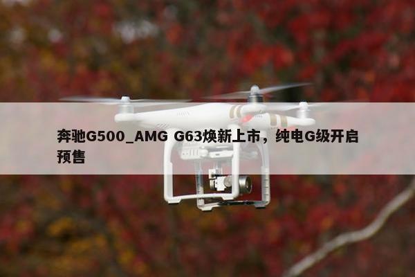 奔驰G500_AMG G63焕新上市，纯电G级开启预售