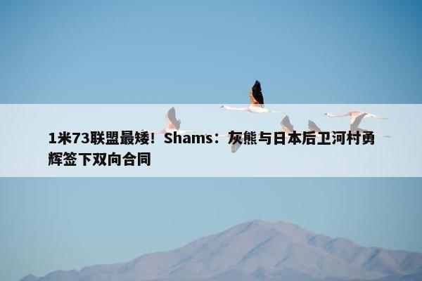 1米73联盟最矮！Shams：灰熊与日本后卫河村勇辉签下双向合同