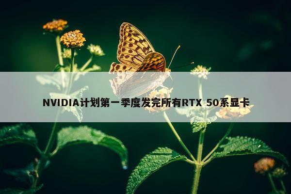 NVIDIA计划第一季度发完所有RTX 50系显卡