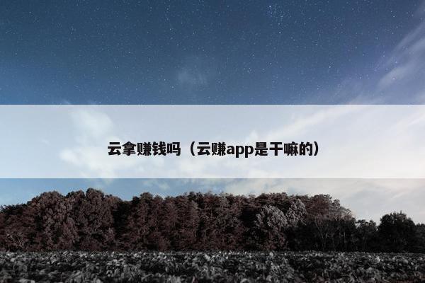 云拿赚钱吗（云赚app是干嘛的）