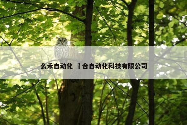 么禾自动化 恊合自动化科技有限公司