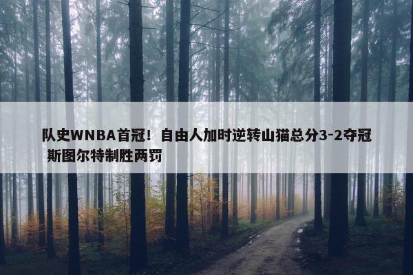 队史WNBA首冠！自由人加时逆转山猫总分3-2夺冠 斯图尔特制胜两罚