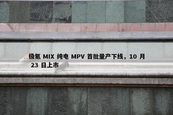 极氪 MIX 纯电 MPV 首批量产下线，10 月 23 日上市