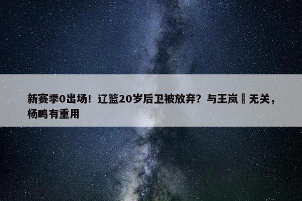 新赛季0出场！辽篮20岁后卫被放弃？与王岚嵚无关，杨鸣有重用