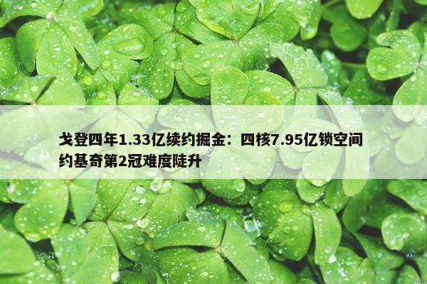 戈登四年1.33亿续约掘金：四核7.95亿锁空间 约基奇第2冠难度陡升