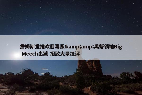 詹姆斯发推欢迎毒贩&amp;黑帮领袖Big Meech出狱 招致大量批评