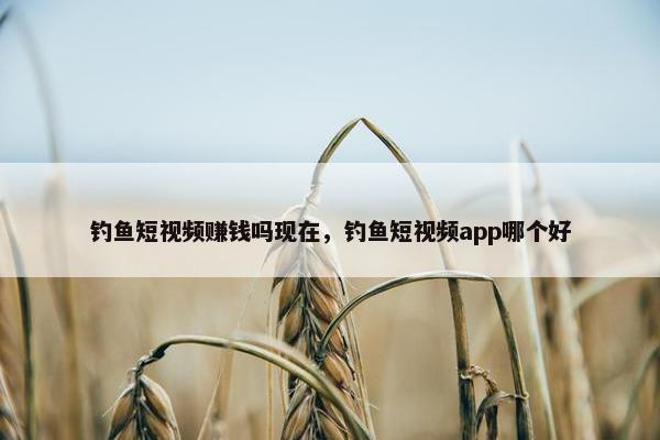 钓鱼短视频赚钱吗现在，钓鱼短视频app哪个好