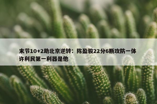 末节10+2助北京逆转：陈盈骏22分6断攻防一体 许利民第一利器是他