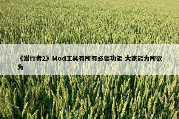 《潜行者2》Mod工具有所有必要功能 大家能为所欲为