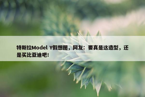 特斯拉Model Y假想图，网友：要真是这造型，还是买比亚迪吧！