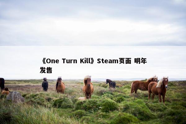 《One Turn Kill》Steam页面 明年发售