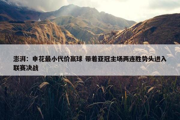 澎湃：申花最小代价赢球 带着亚冠主场两连胜势头进入联赛决战