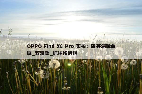 OPPO Find X8 Pro 实拍：四等深微曲屏_双潜望_抓拍快启键