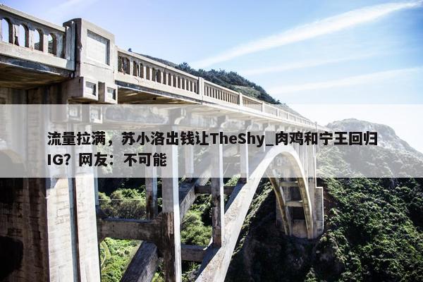 流量拉满，苏小洛出钱让TheShy_肉鸡和宁王回归IG？网友：不可能