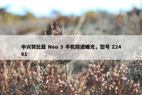 中兴努比亚 Neo 3 手机踪迹曝光，型号 Z2461