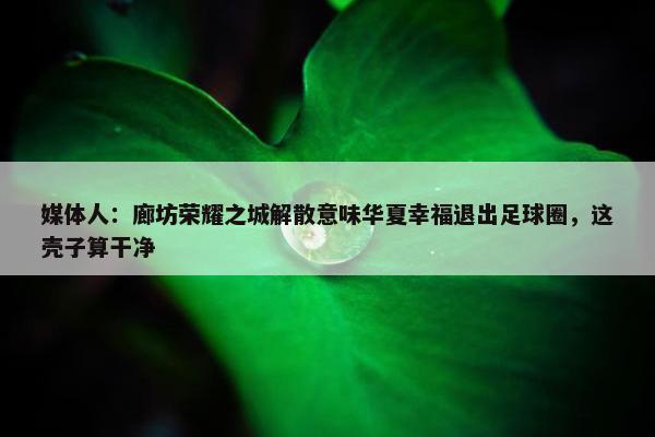 媒体人：廊坊荣耀之城解散意味华夏幸福退出足球圈，这壳子算干净