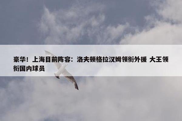 豪华！上海目前阵容：洛夫顿格拉汉姆领衔外援 大王领衔国内球员