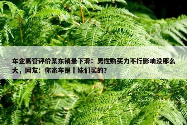 车企高管评价某东销量下滑：男性购买力不行影响没那么大，网友：你家车是媎妹们买的？