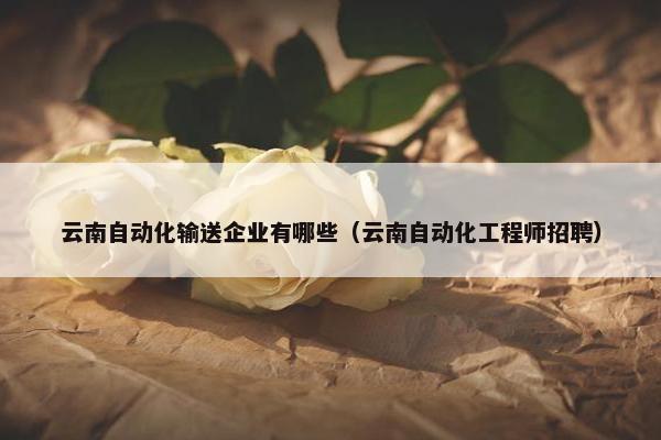 云南自动化输送企业有哪些（云南自动化工程师招聘）