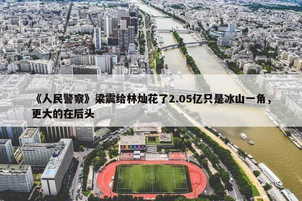 《人民警察》梁震给林灿花了2.05亿只是冰山一角，更大的在后头