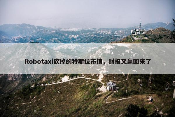 Robotaxi砍掉的特斯拉市值，财报又赢回来了