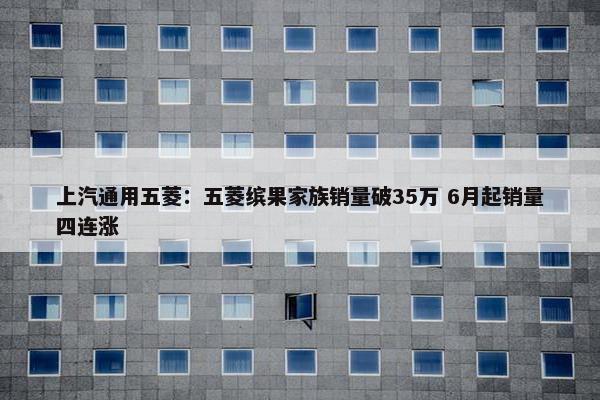 上汽通用五菱：五菱缤果家族销量破35万 6月起销量四连涨