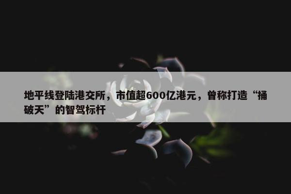 地平线登陆港交所，市值超600亿港元，曾称打造“捅破天”的智驾标杆